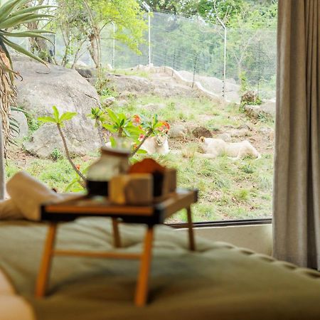 Pumbaa Wildlife Park & Accommodation Mbombela Exterior photo