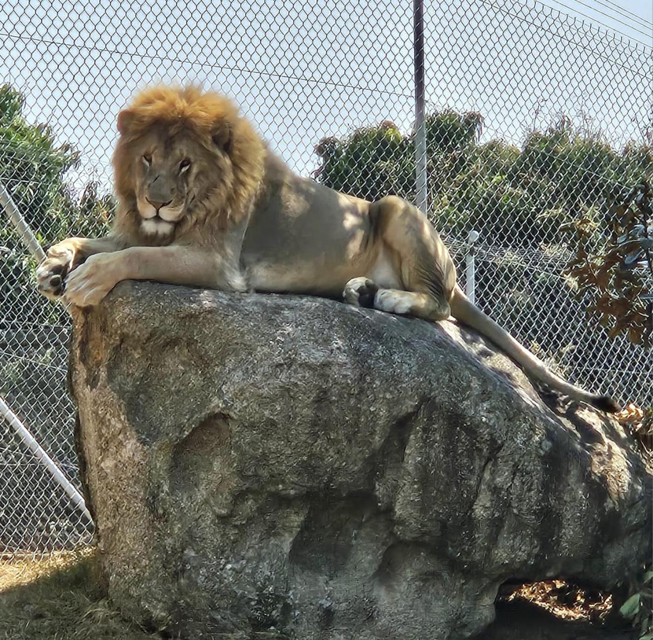 Pumbaa Wildlife Park & Accommodation Mbombela Exterior photo